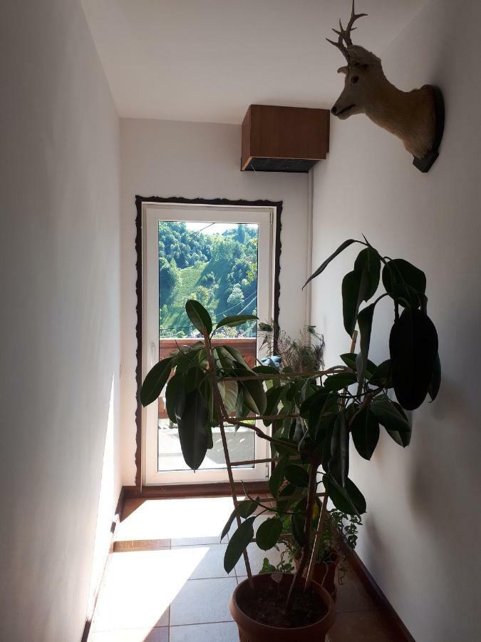 布朗Ograda De La Munte别墅 外观 照片
